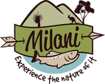 Milani logo experience the nature of it